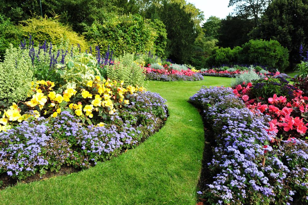 borders_met_bloemen_en_gazon