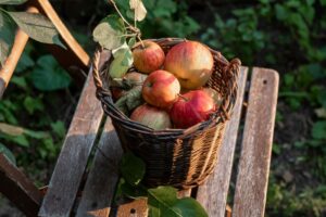 geplukte_appels_mand
