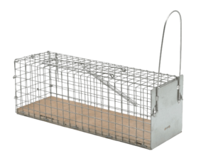 Vangkooi Ratten